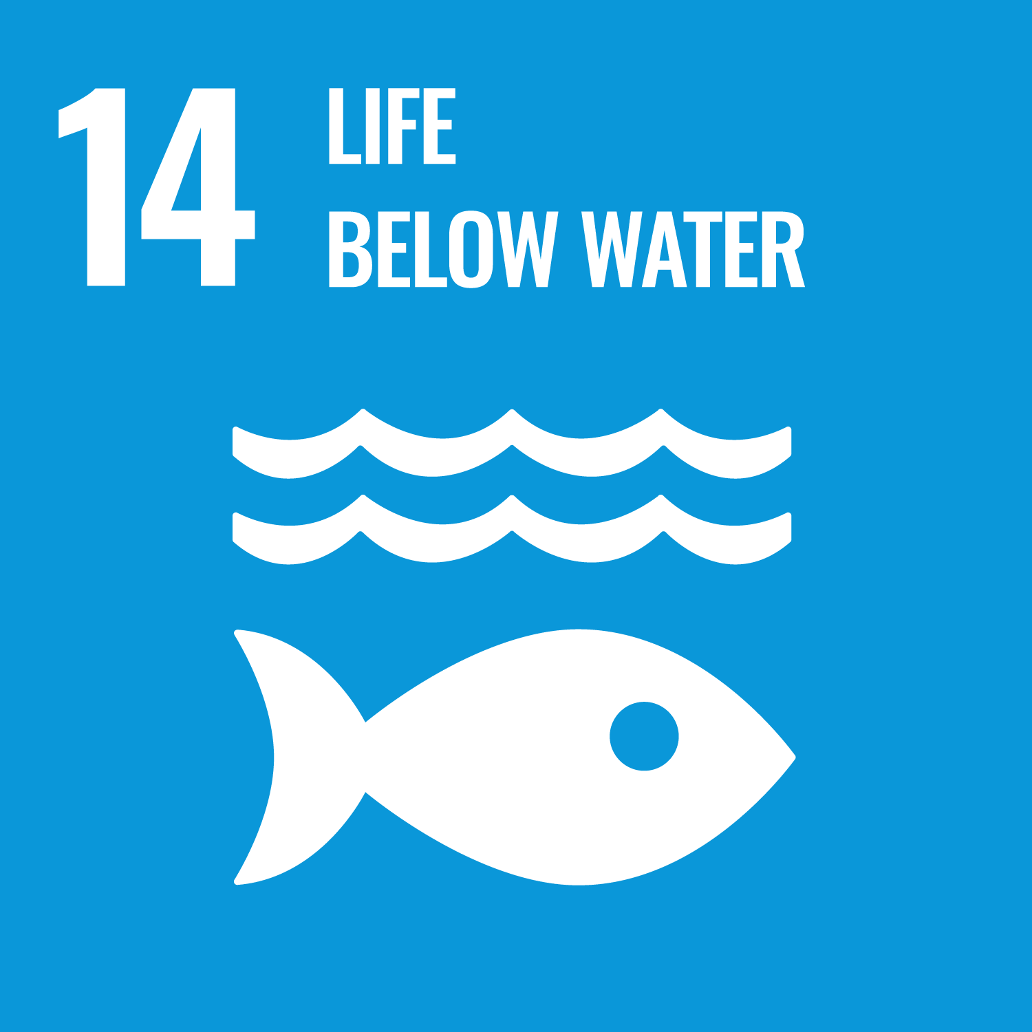 Icon for Sustainable Development Goal 14 – Life Below Water