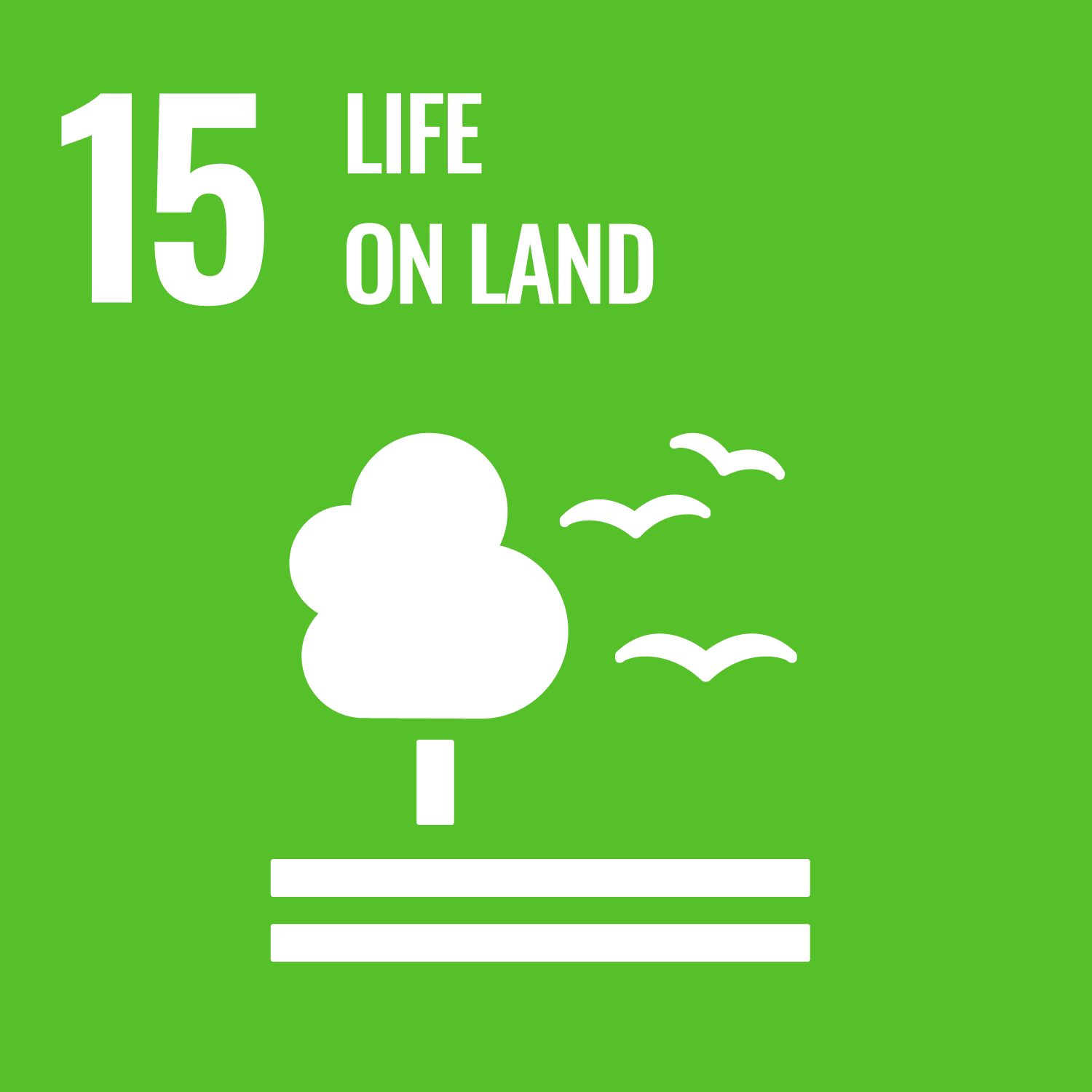 Icon for Sustainable Development Goal 15 – Life on Land