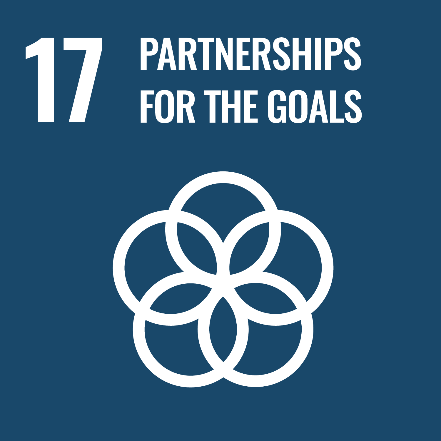 Icon for Sustainable Development Goal 17 – Partnership for the Goals