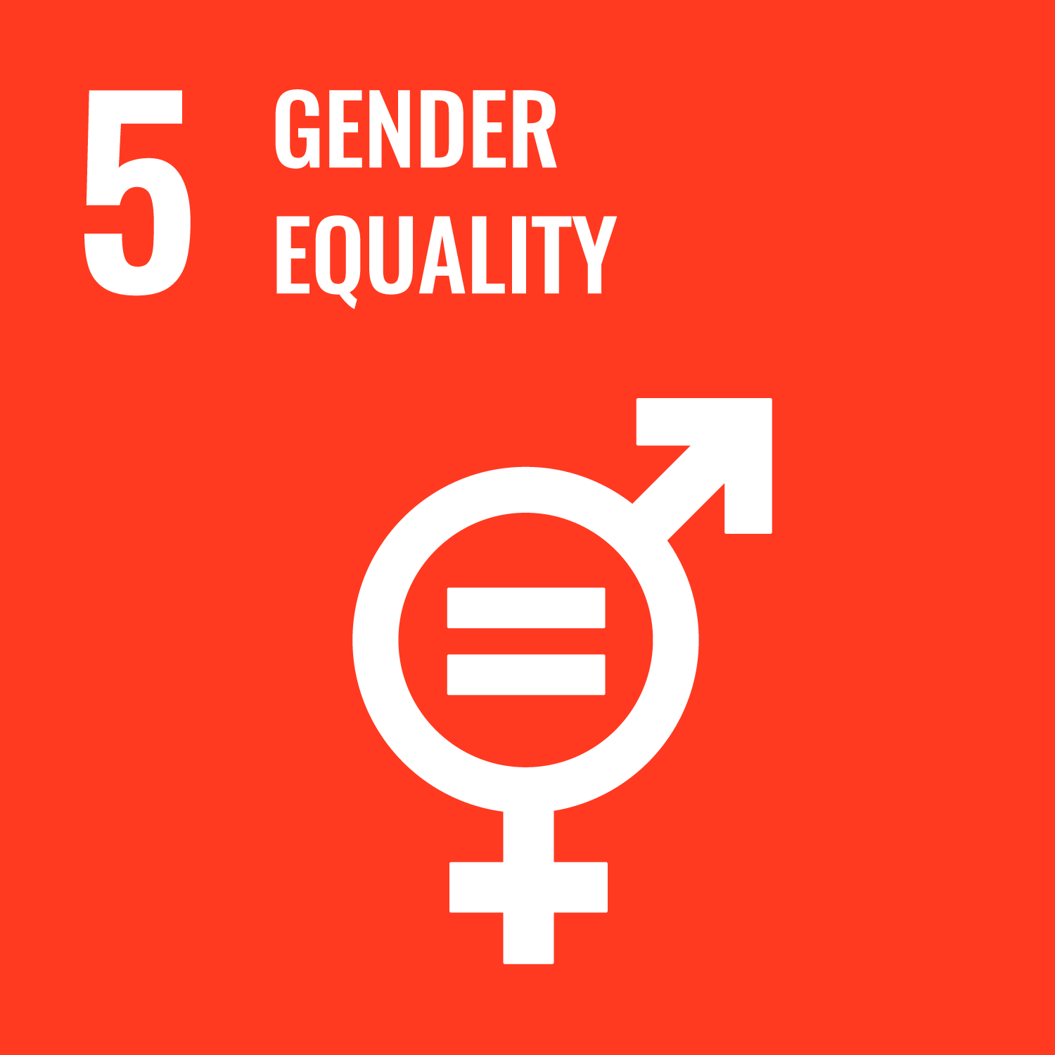 Icon for Sustainable Development Goal 5 – Gender Equality