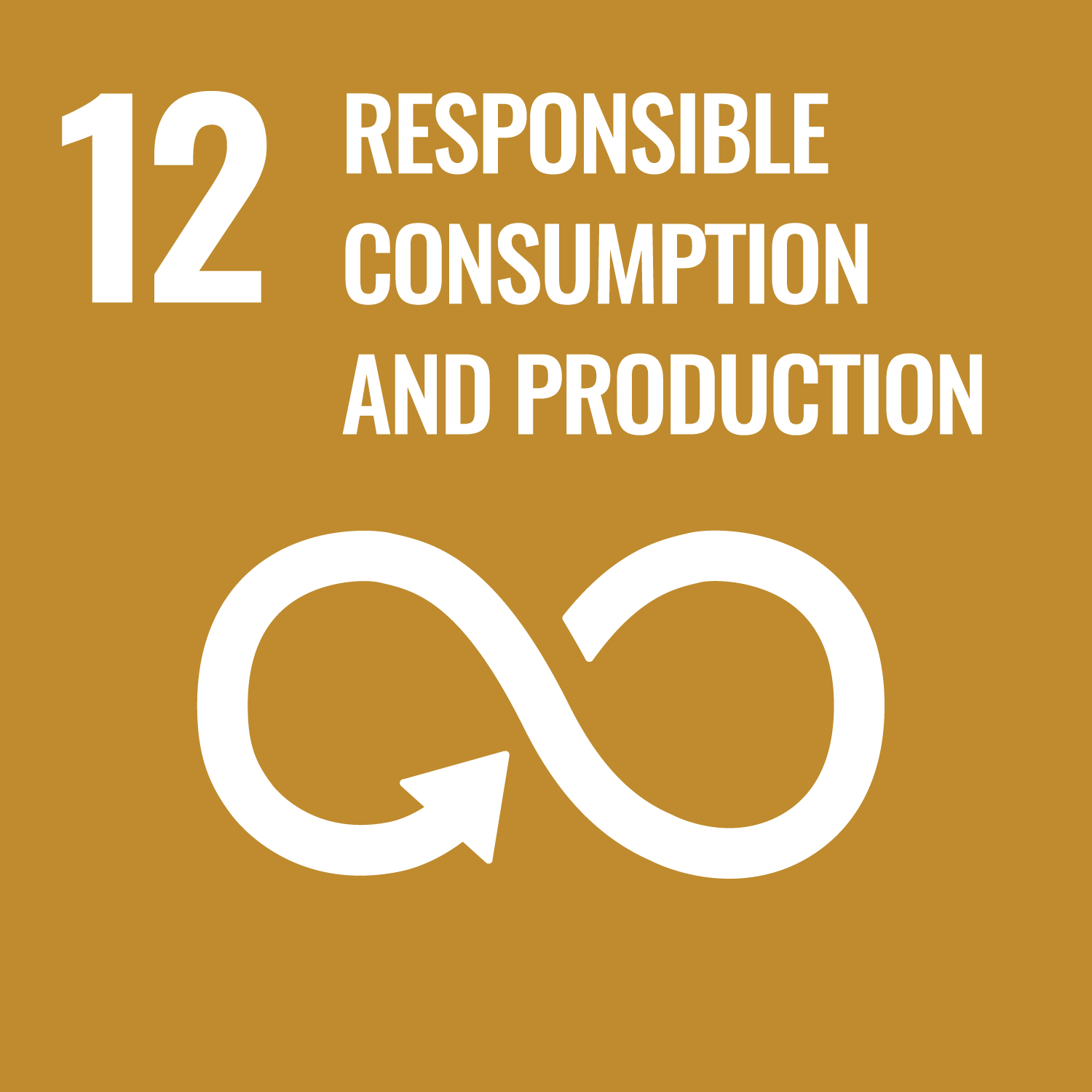 Icon for Sustainable Development Goal 12 – Responsible Consumption and Production