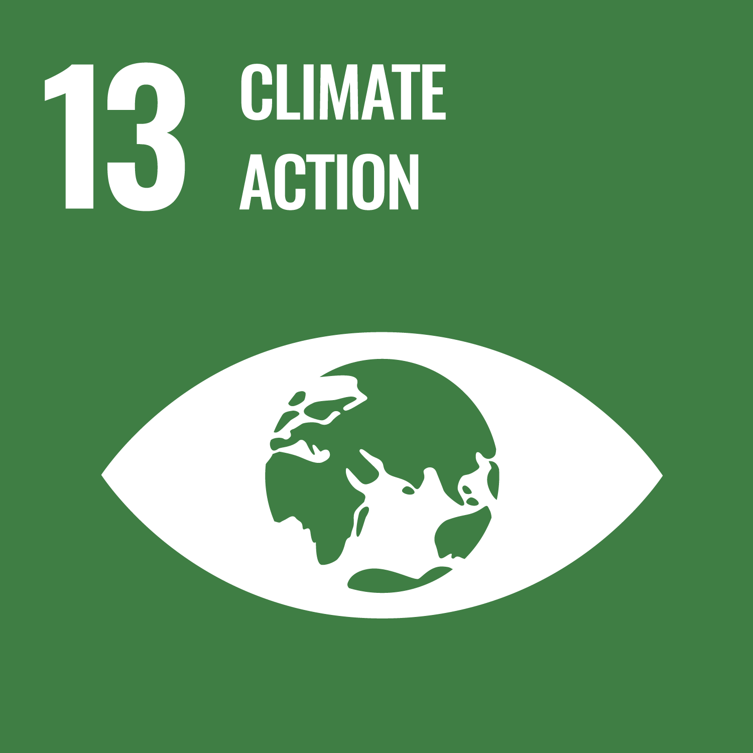 Icon for Sustainable Development Goal 13 – Climate Action