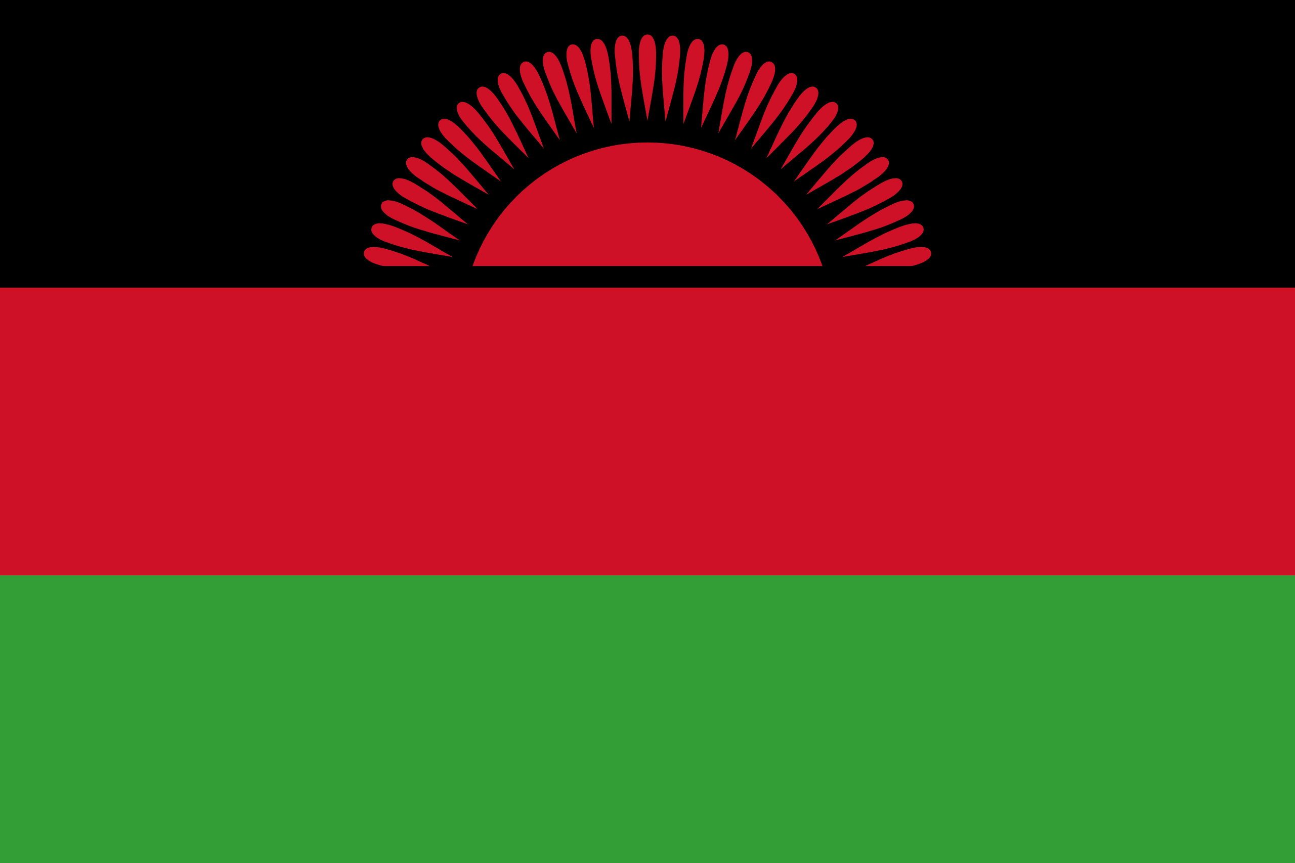 Illustration of Malawi flag