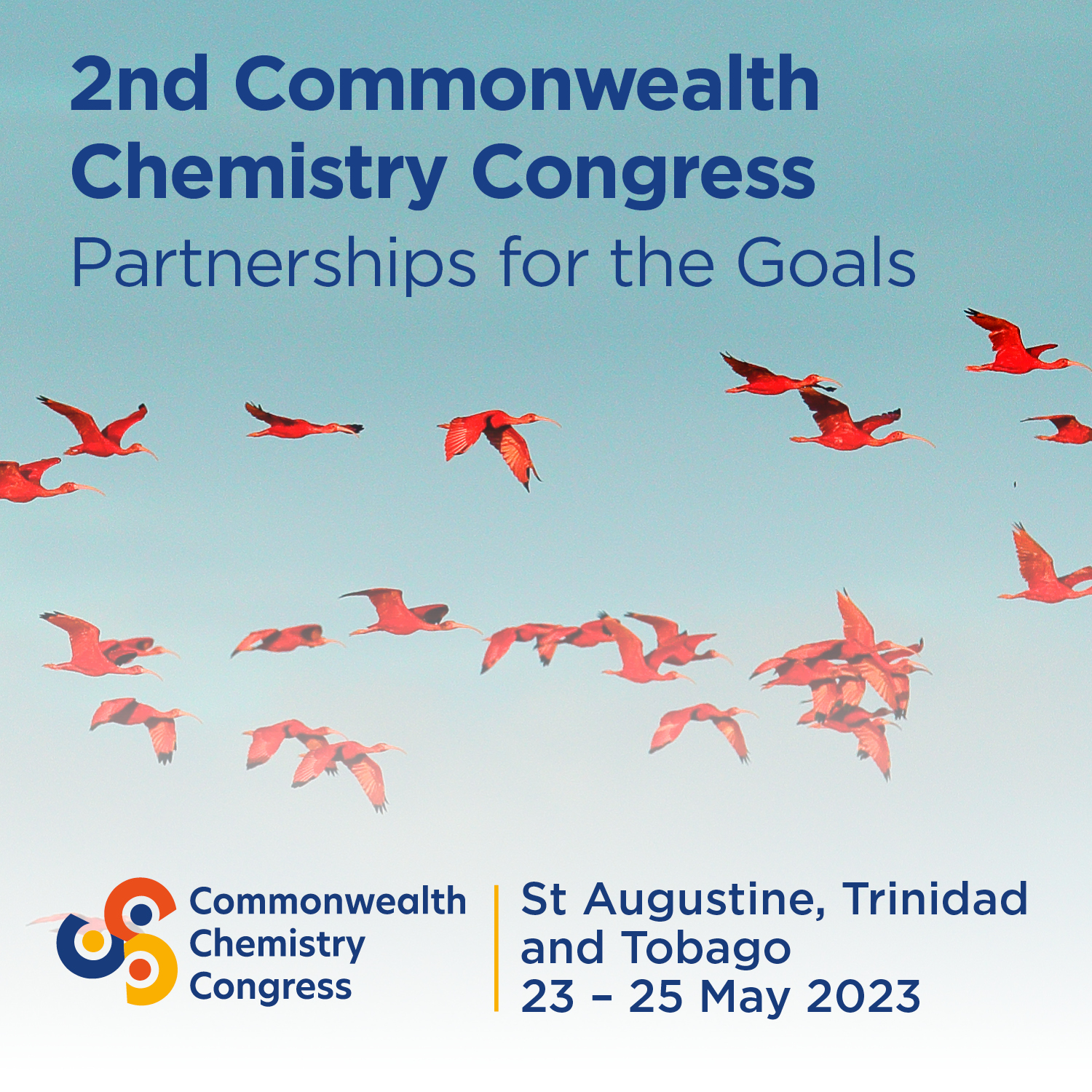 Second Commonwealth Chemistry Congress