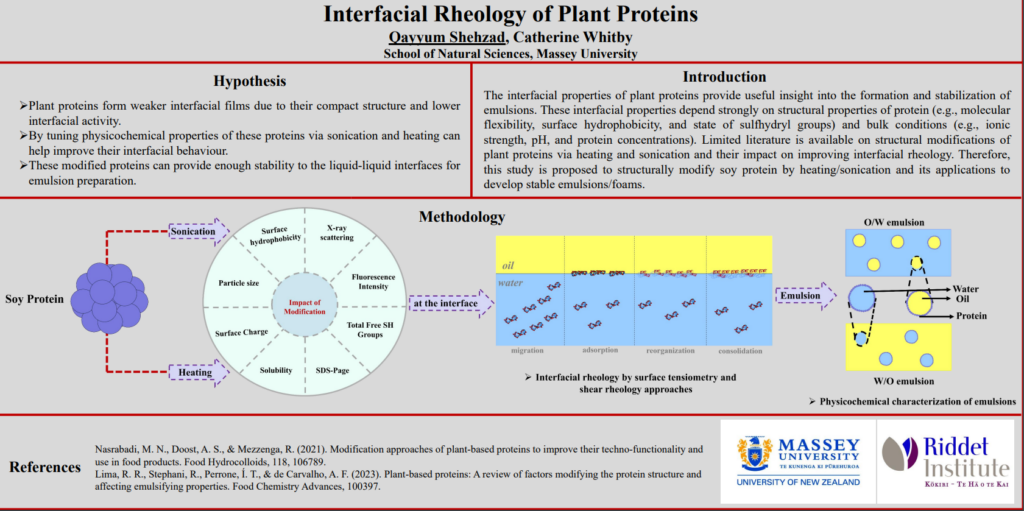 Poster - Interfacial rheology of plant proteins