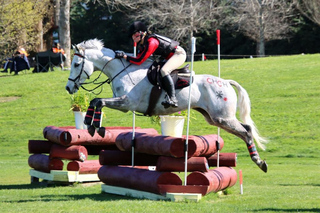 Horse going over a jump with it's rider on a course